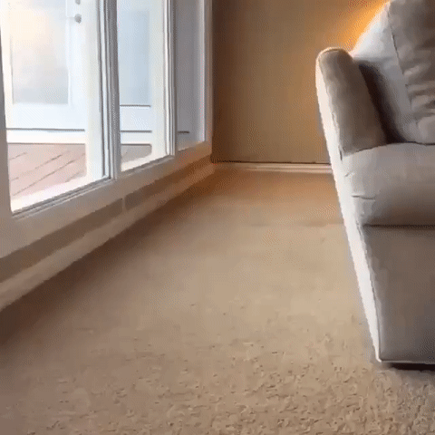 ezgif.com-video-to-gif-6.gif
