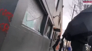 ezgif.com-video-to-gif-16.gif