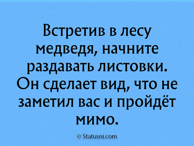 листовка.jpg