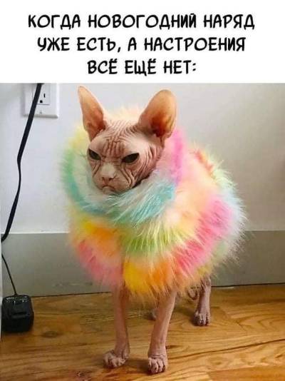 73ff27366f07342faff3fc21f45bf9913efb3a963970bd71428b7bd0c339d334.jpg
