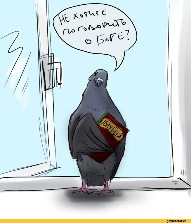 смешные-картинки-голуби-3497361.jpeg