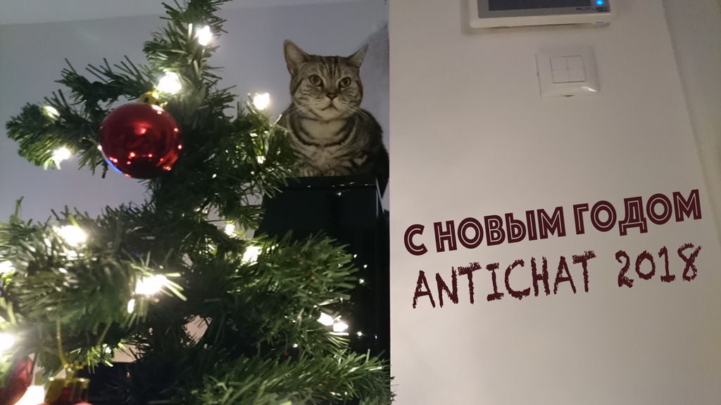 kote_new.png