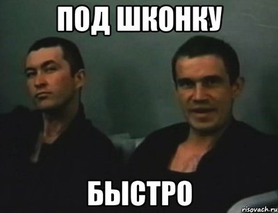 944.jpg