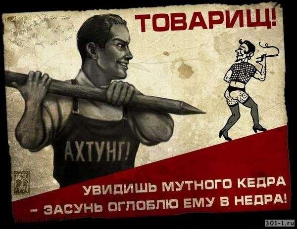 169.jpg