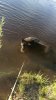 IMG-20190609-WA0035.jpeg