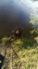 IMG-20190609-WA0033.jpeg