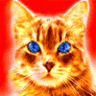 FireStar