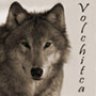 Volchitca