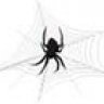 spiderbuber