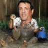 DartPhoenix