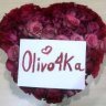 Olivo4ka