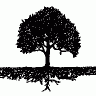 tree roots