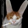 Luccifer