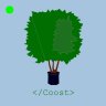 Coost