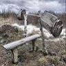 ignat63