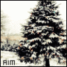 aim