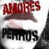 Amores Perros