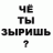 seozone
